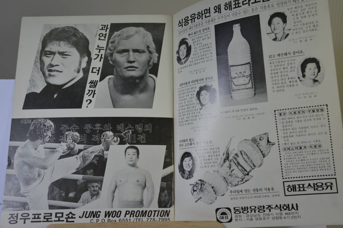 1979年新日本プロレス韓国遠征試合パンフレット/猪木vsルスカ　藤波vs星野_画像9