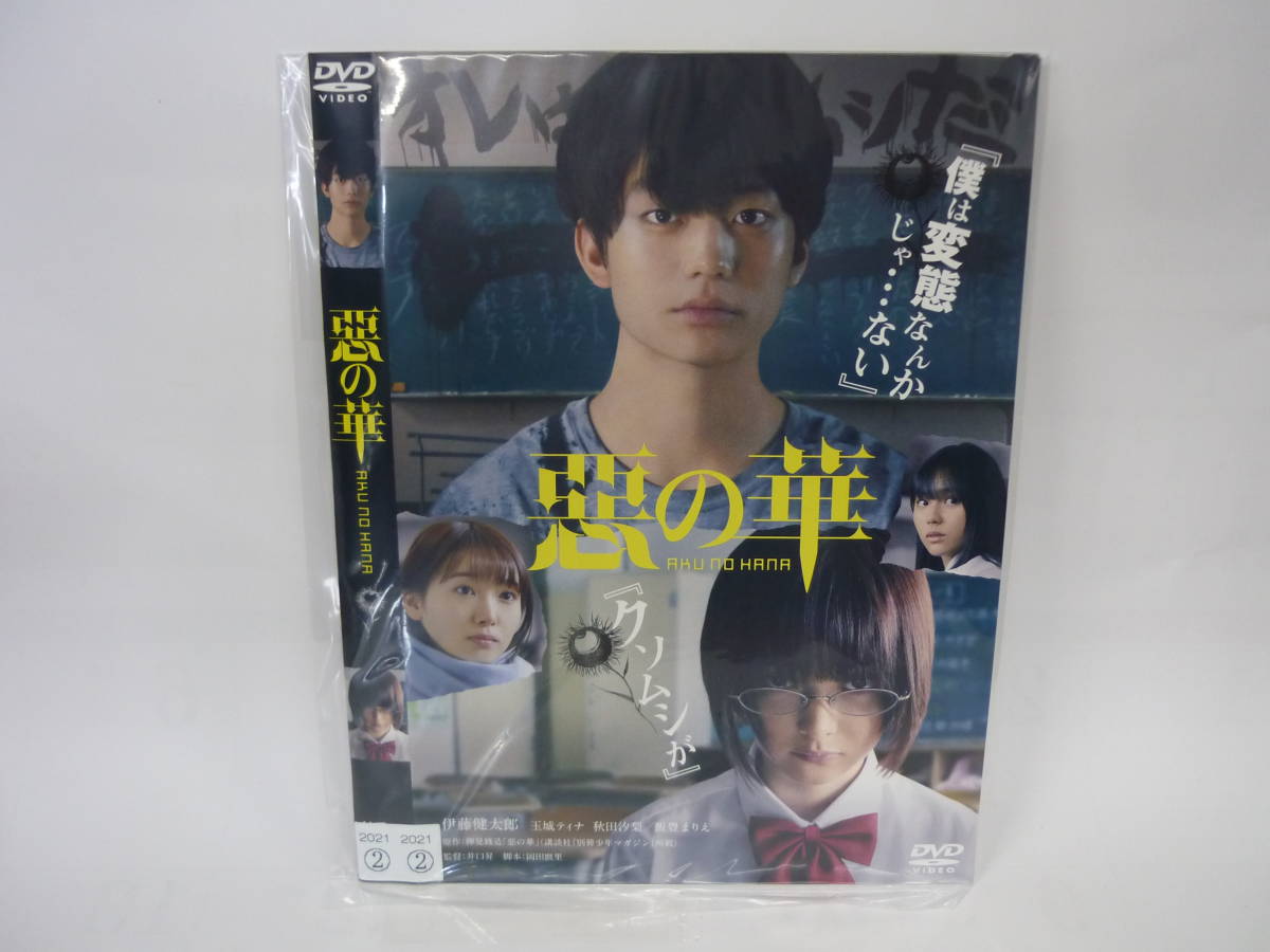 【レンタル落ちDVD】悪の華　　出演：伊藤健太郎/玉城ティナ（トールケース無し/230円発送）_画像1