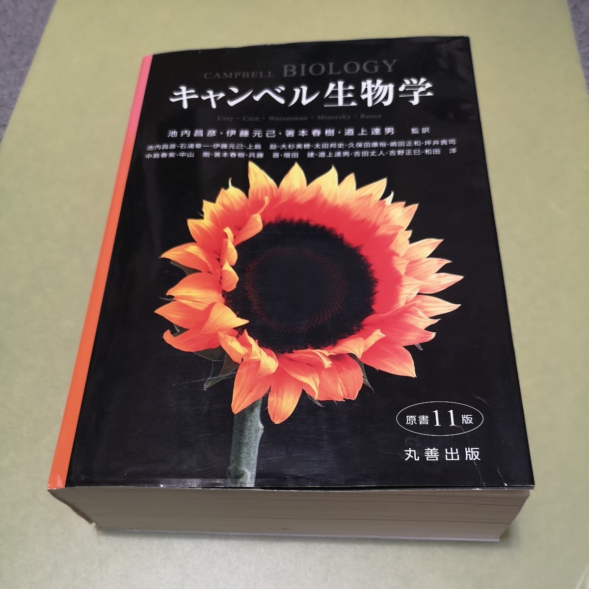 高級品販売 キャンベル生物学 原書 第11版 - 本