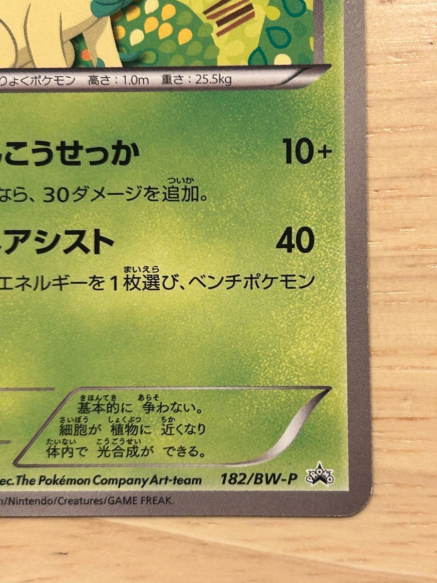 リーフィア プロモ|Yahoo!フリマ(旧PayPayフリマ) リーフィア プロモ|Yahoo!フリマ(旧PayPayフリマ)