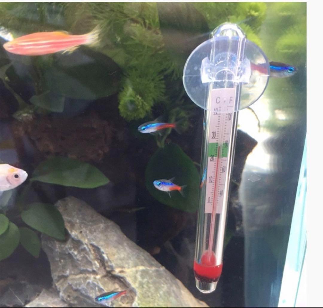 めだか 水温計メダカ飼育 2個セット温度計 アクアリウム 水質 稚魚管理 産卵期 水槽 レイアウト コンパクト 軽量 ガラス_画像4