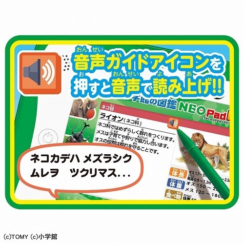 小学館の図鑑 NEO Pad DX　送料無料_画像5