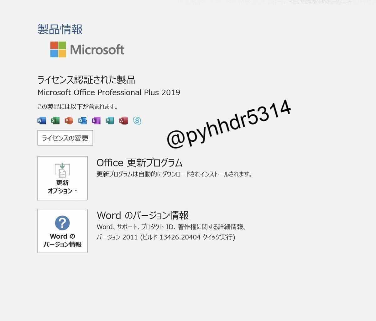 【即対応★正規認証】 Microsoft Office 2019 Professional Plus 正規認証プロダクトキー 自己アカウント管理 日本語手順書有_画像4