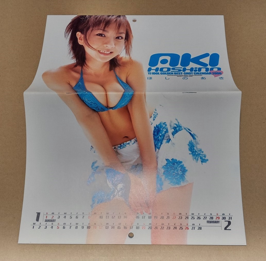 [即決]●ほしのあき 2006年 カレンダー●YJ IDOL GOLDEN BEST-SHOT CALENDAR 2006●未使用美品●週刊ヤングジャンプ 付録●上野勇 渡辺達夫_表紙と裏表紙の【1月＆2月】です。