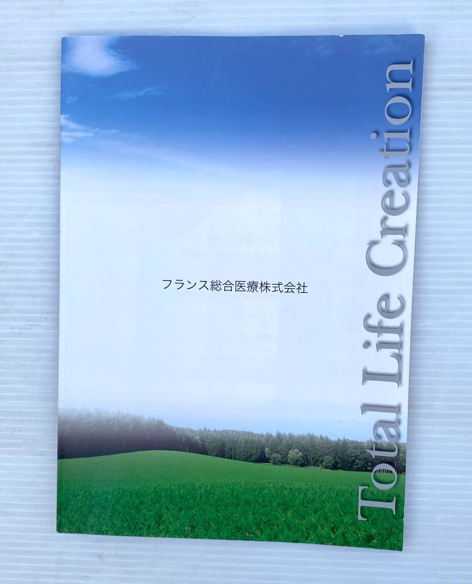 ★☆フランスベッド スリーミー2122 2020年製 折り畳み式 全身治療ベッド 取説冊子 温蒸浴うるおいⅢ付き 付属品 可動品☆★_画像10