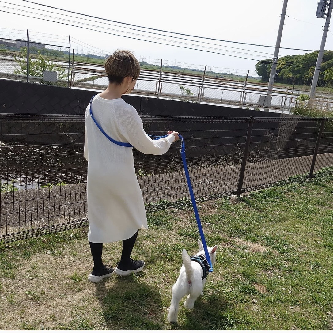 犬用 ハンズフリーリード 多機能 ショルダー リード おしゃれ 長さ2.5m 幅2.5cm 小型犬 中型犬 (ロイヤルブルー)_画像4