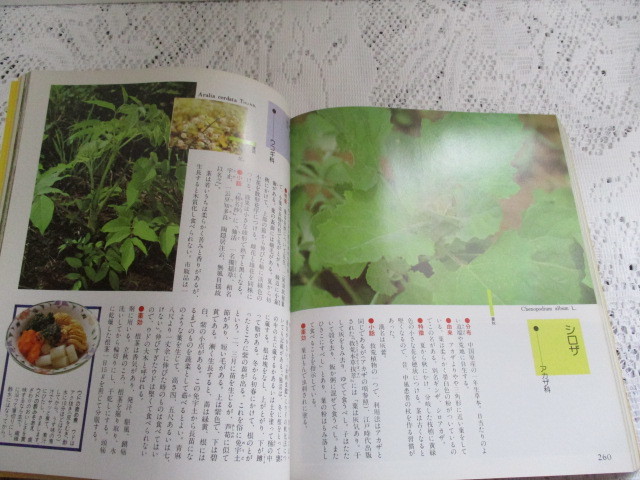 * four season. fields and mountains grass medicine effect * meal . person * fruits sake close wistaria . peace *