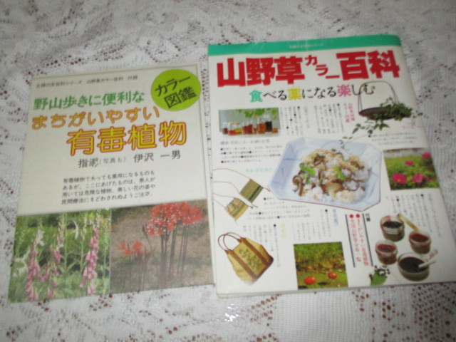 ☆山野草カラー百科 食べる薬になる楽しむ 主婦の友百科シリーズ☆の画像2