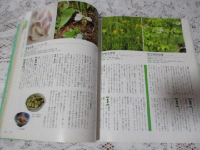 ☆山野草カラー百科 食べる薬になる楽しむ 主婦の友百科シリーズ☆の画像6
