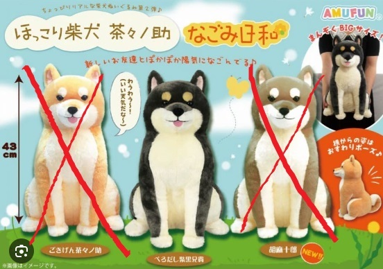 ほっこり柴犬茶々ノ助なごみ日和 BIG ぬいぐるみ 柴黒兄貴 43cm 送料510円　犬　おすわり_画像4