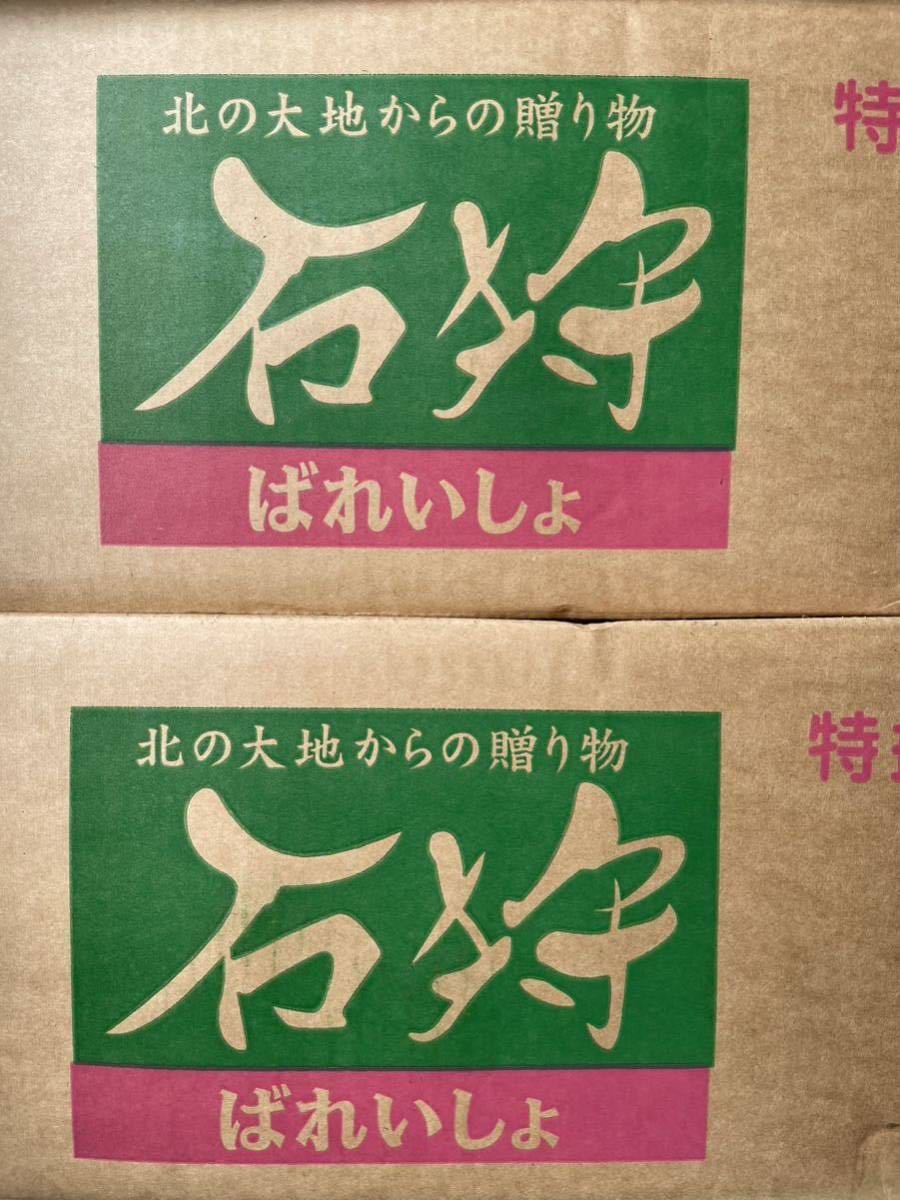 北海道 産 新じゃが じゃがいも 2Lサイズ 品種 男爵 約9.7kg_画像2