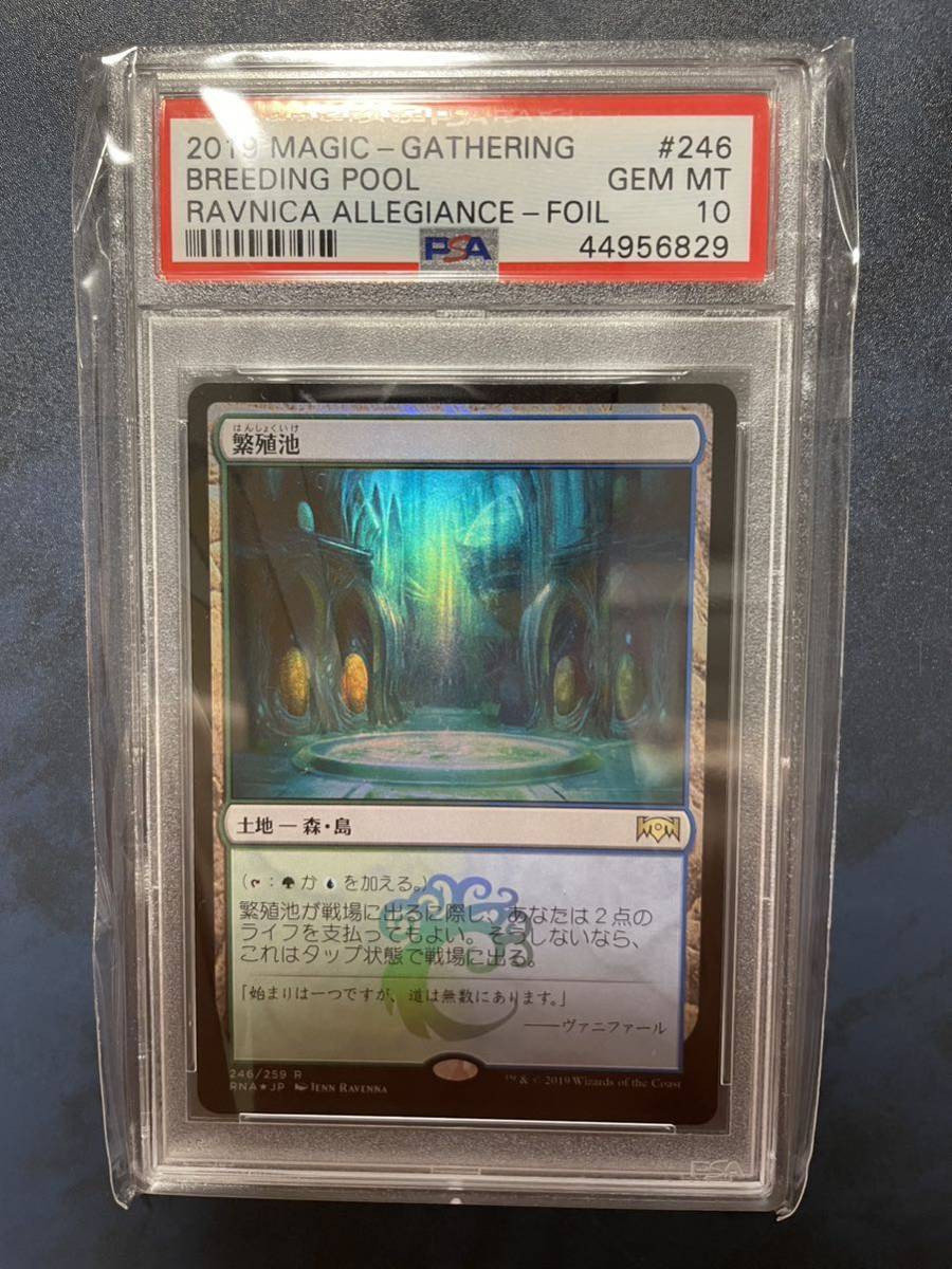 MTG RNA 繁殖池　foil 鑑定品　PSA10 最高評価_画像1