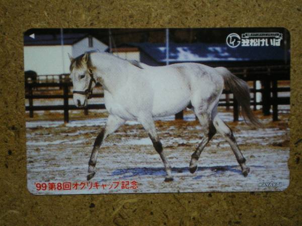 I400*110-402479o Gris cap . pine horse racing horse racing telephone card 