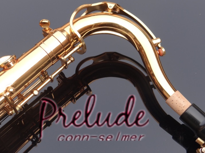  рис cell ma- тенор Prelude-by Selmer TS710 отрегулирован новый товар бесплатная доставка доставка внутри страны Gold Rucker отделка полужесткий чехол др. принадлежности дополнение 