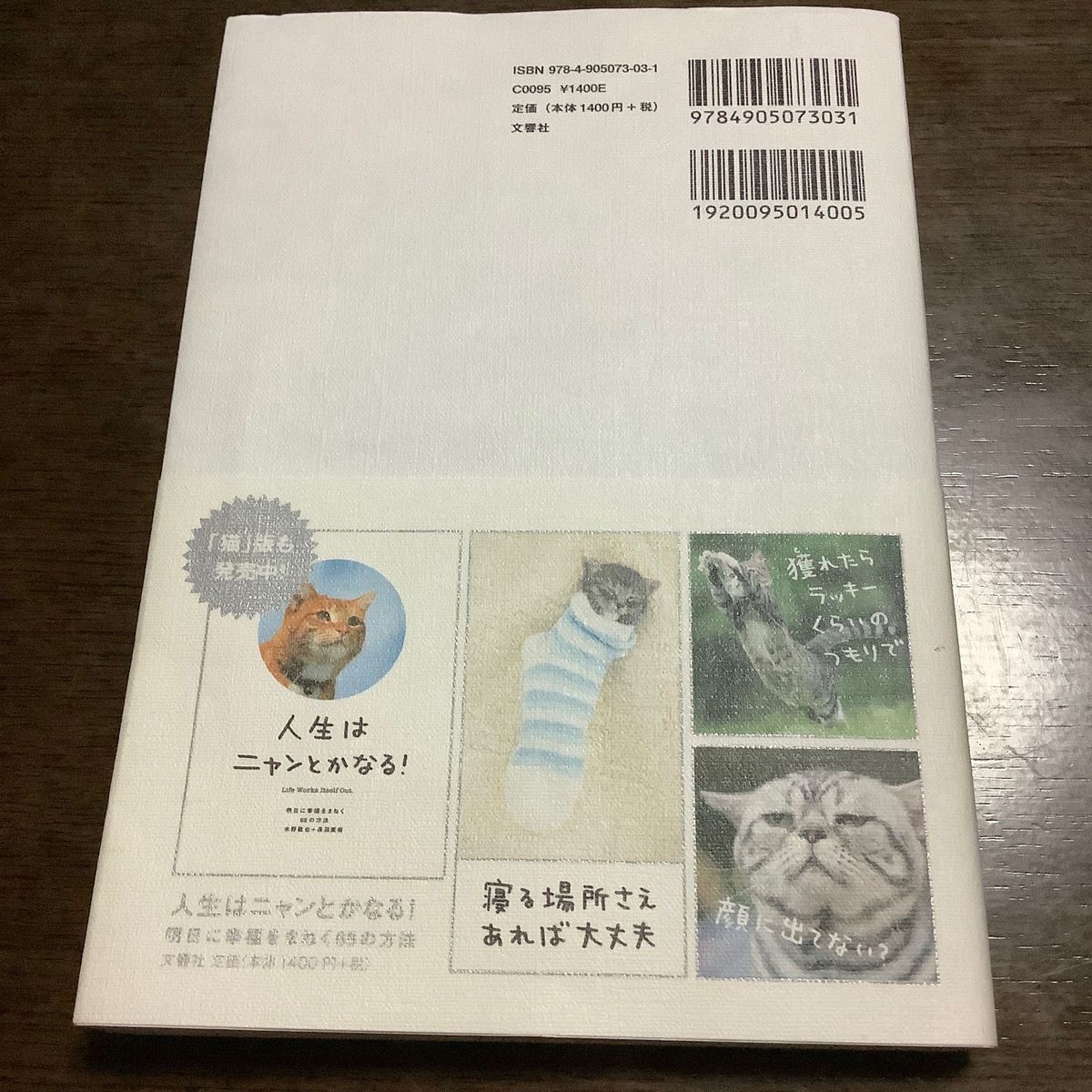 人生はワンチャンス！　「仕事」も「遊び」も楽しくなる６５の方法 水野敬也／著　長沼直樹／著