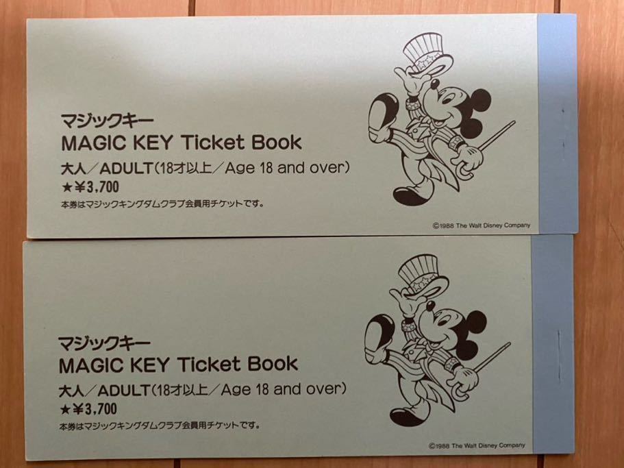 ディズニーランド　パークチケット/マジックキー　入場券　古い物_画像3