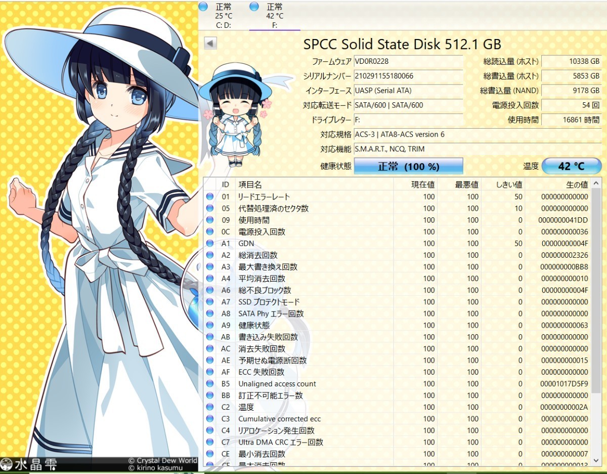 SP シリコンパワー SSD A55 512GB 使用時間16861時間_画像3