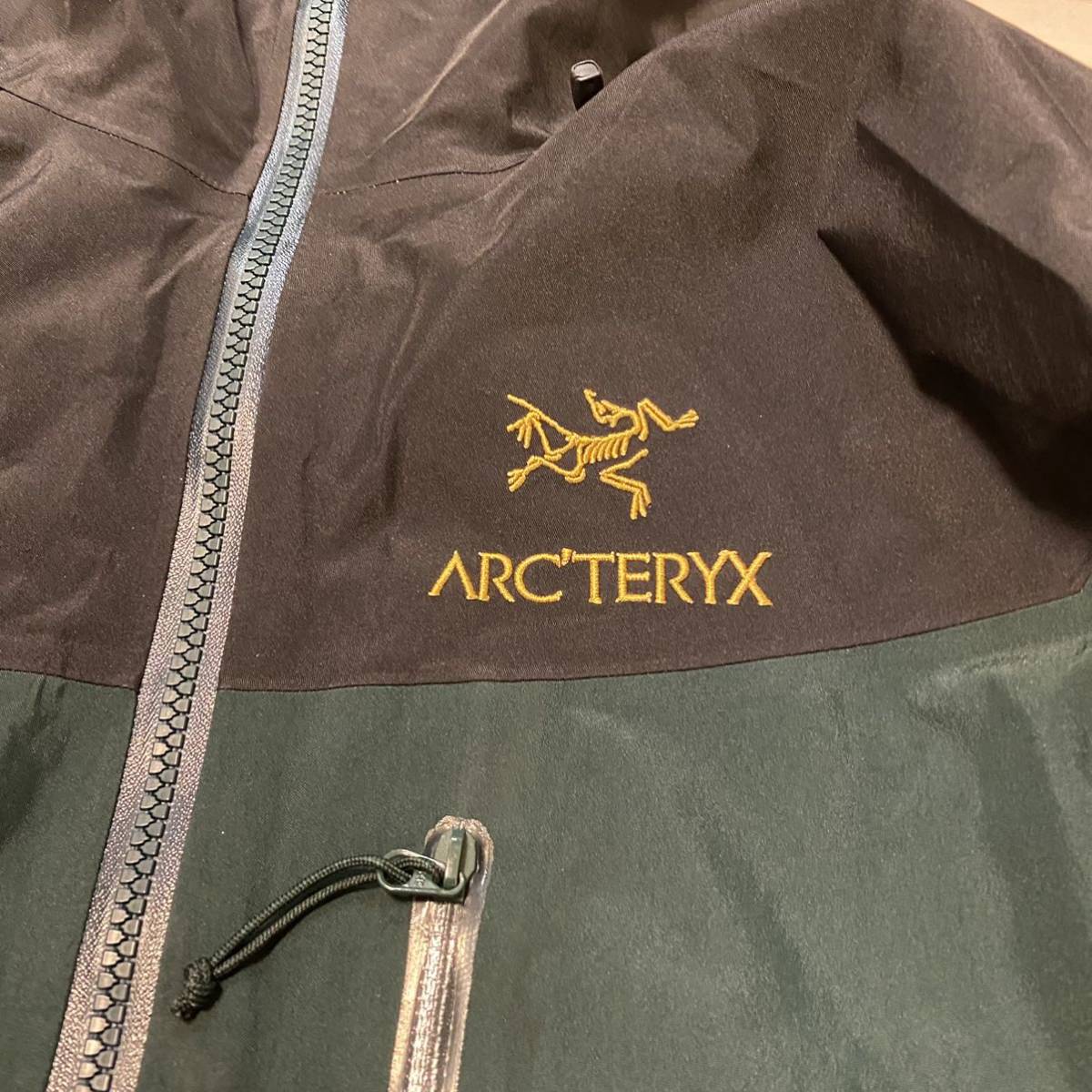 別注 20年製名作 Arcteryx Alpha SV Jacket_画像3