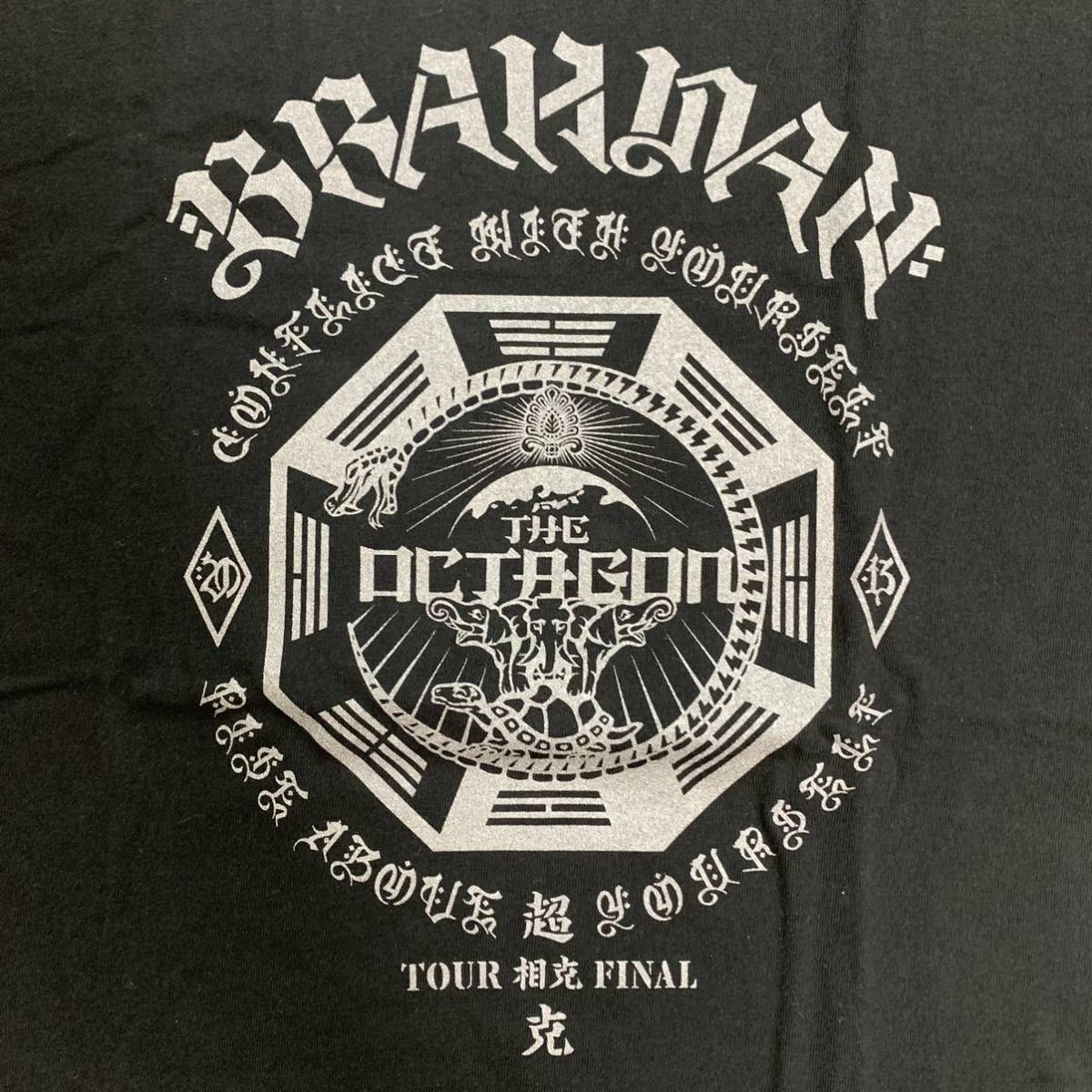 BRAHMAN Mサイズ Tシャツ ブラフマン the LOW-ATUS ELLEGARDEN AIR JAM Hi-STANDARD ハイスタ Ken Yokoyama LOW IQ 01 SCAFULL KING_画像1