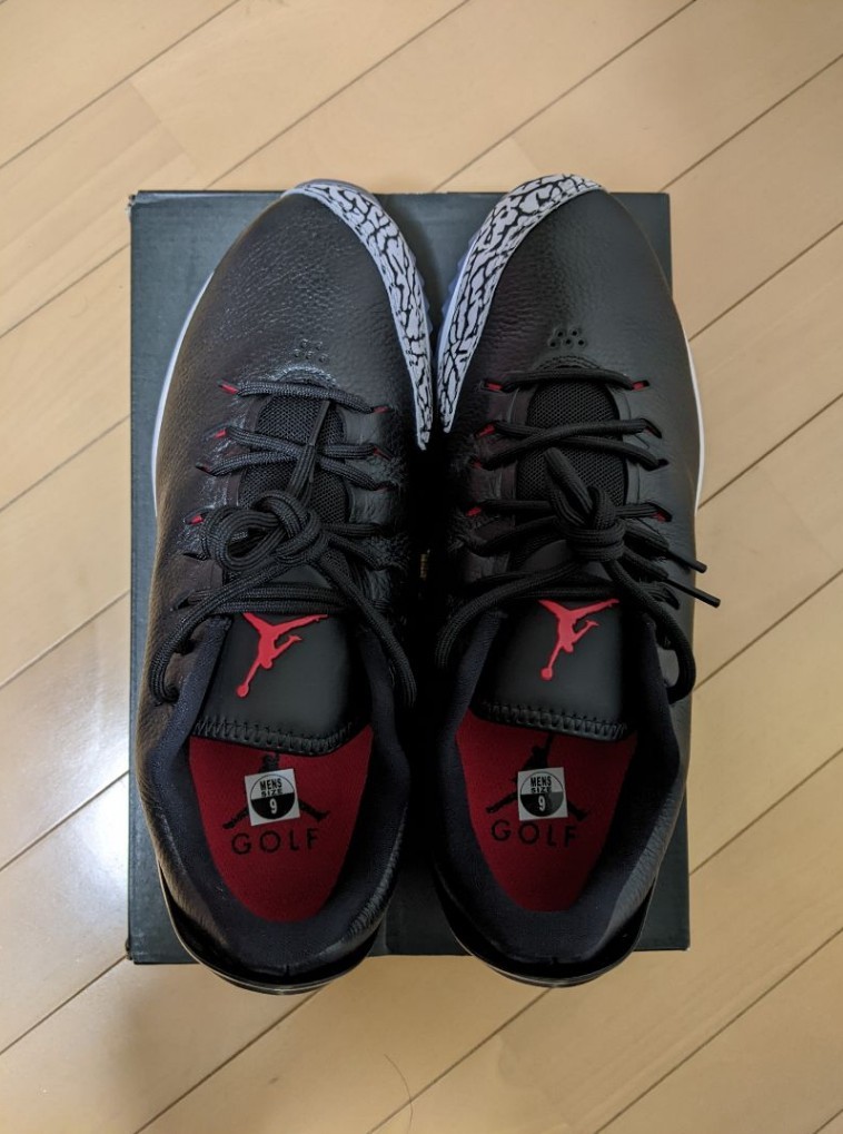 レアモデルNIKEナイキJORDAN ADG BLACK CEMENT 26.0_画像4