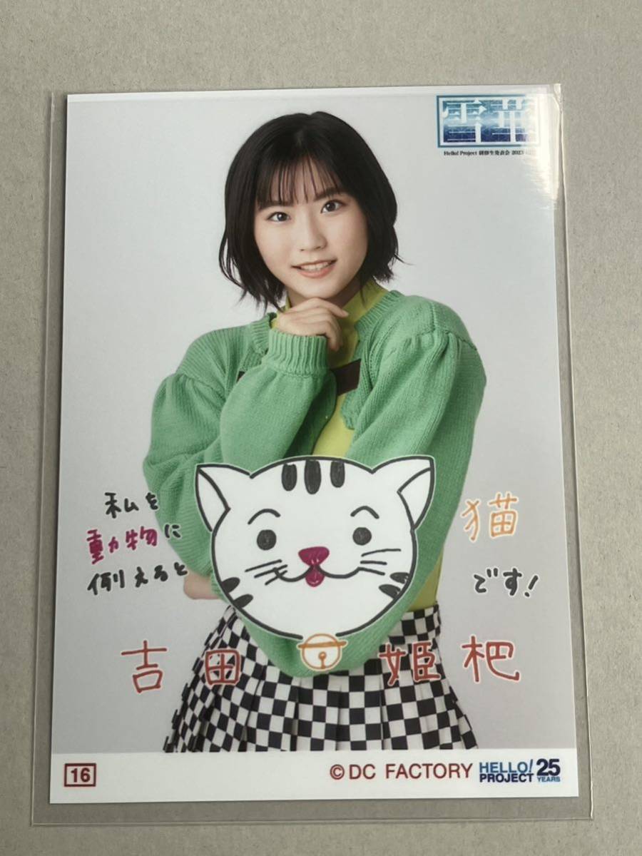 Yahoo!オークション - 【吉田姫杷・16番】Hello Project 研修生 Yahoo!オークション - 【吉田姫杷・16番】Hello Project 研修生