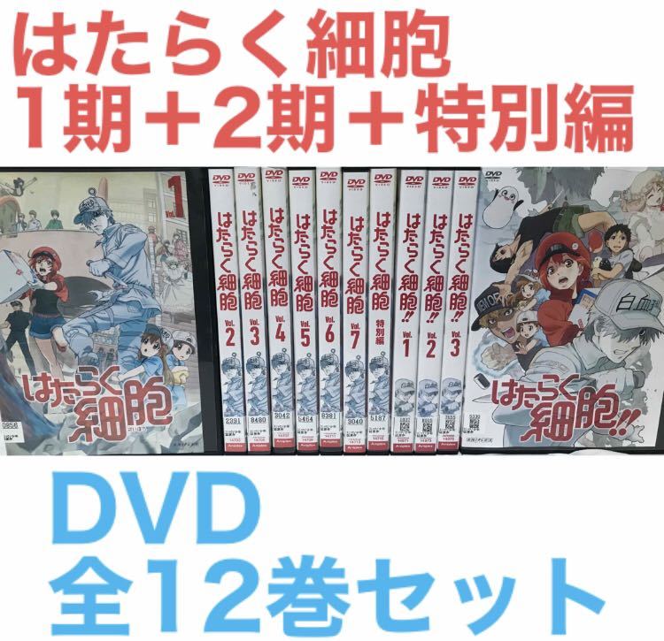 『はたらく細胞 1期＋2期＋特別編』DVD 全12巻セット　全巻セット