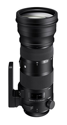 【中古】SIGMA 150-600mm F5-6.3 DG OS HSM | Sports S014 | Canon EFマウント | Full-Size/Large-Format_画像1