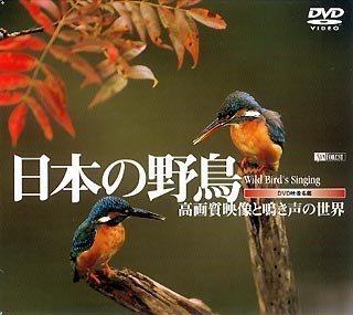 【中古】シンフォレストDVD 日本の野鳥 高画質映像と鳴き声の世界 Wild bird's Singing_画像1
