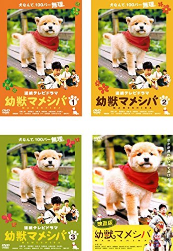 【中古】連続テレビドラマ版 幼獣マメシバ+ 映画版 [レンタル落ち] 全4巻セット [マーケットプレイスDVDセット商品]_画像1