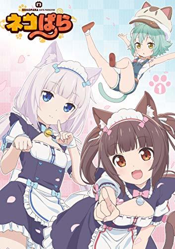 【中古】TVアニメ「ネコぱら」Blu-ray BOX I_画像1