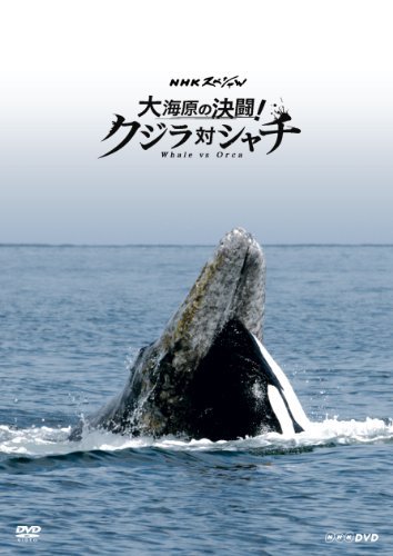 【中古】NHKスペシャル 大海原の決闘! クジラ対シャチ [DVD]_画像1