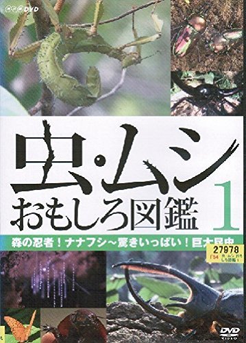 【中古】虫・ムシ おもしろ図鑑 [レンタル落ち] （全3巻セット） [マーケットプレイス DVDセット]_画像1