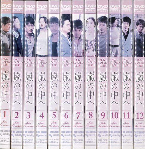 【中古】嵐の中へ 1～12 (全12枚)(全巻セットDVD) [字幕]｜中古DVD [レンタル落ち] [DVD]_画像1