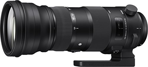 【中古】SIGMA 150-600mm F5-6.3 DG OS HSM | Sports S014 | Nikon F-FXマウント | Full-Size/Large-Format_画像1