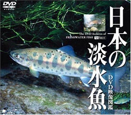 【中古】シンフォレストDVD 日本の淡水魚　DVD映像図鑑_画像1