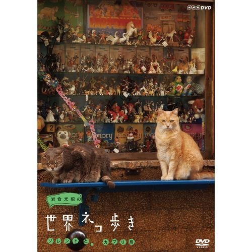 【中古】岩合光昭の世界ネコ歩き ソレントとカプリ島　DVD【NHKスクエア限定商品】_画像1