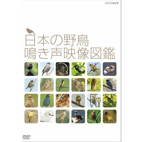 【中古】日本の野鳥 鳴き声映像図鑑 DVD【NHKスクエア限定商品】_画像1