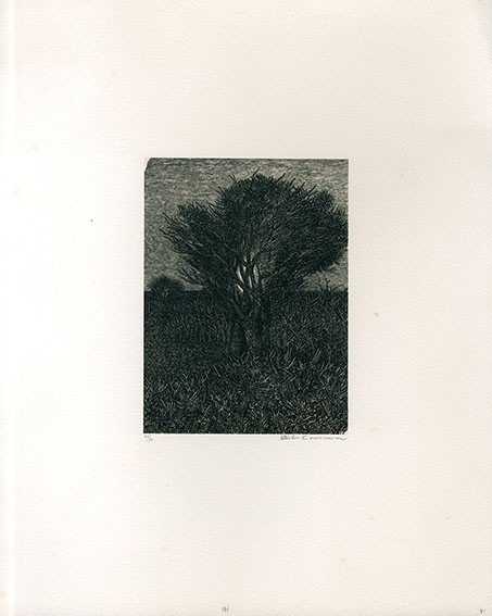 柄澤斎版画「樹」　木口木版　限70　サイン、タイトル、年記　16×10.5　S:35×28　1981