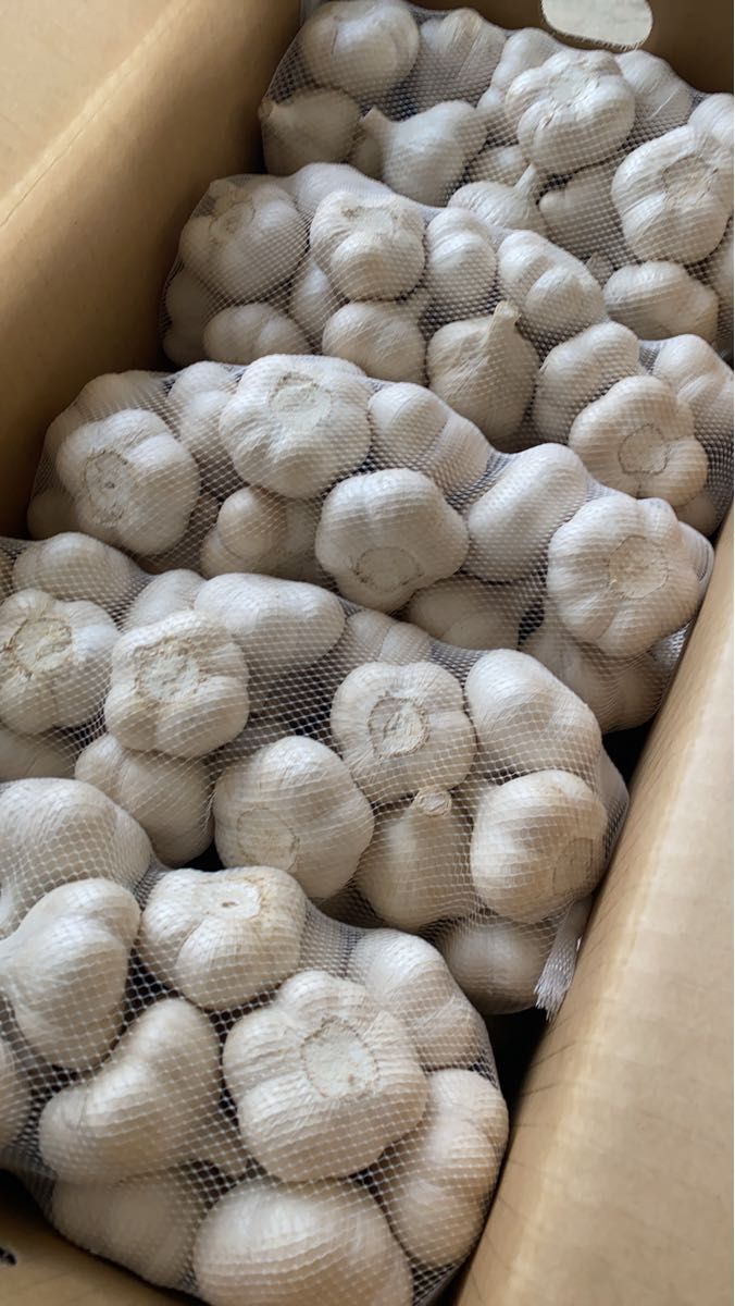 青森県にんにく5Kg L にんにく