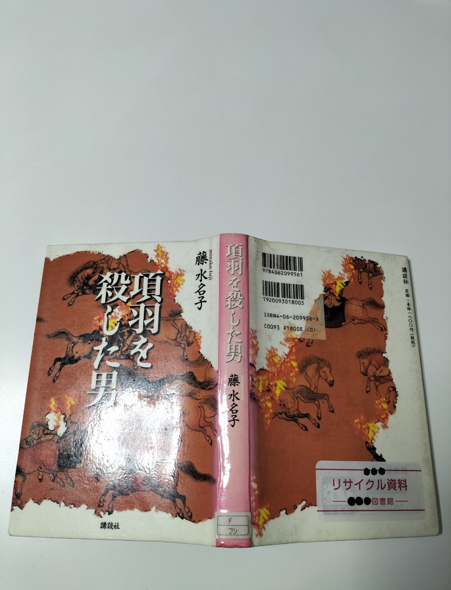 【図書館除籍本1105】項羽を殺した男／藤水名子 (著者)（図書館リサイクル本1105）（除籍図書1105）【mini】