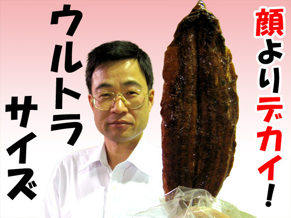 ウルトラサイズ うなぎ 蒲焼き 1尾 (約400g) さんきん_画像1