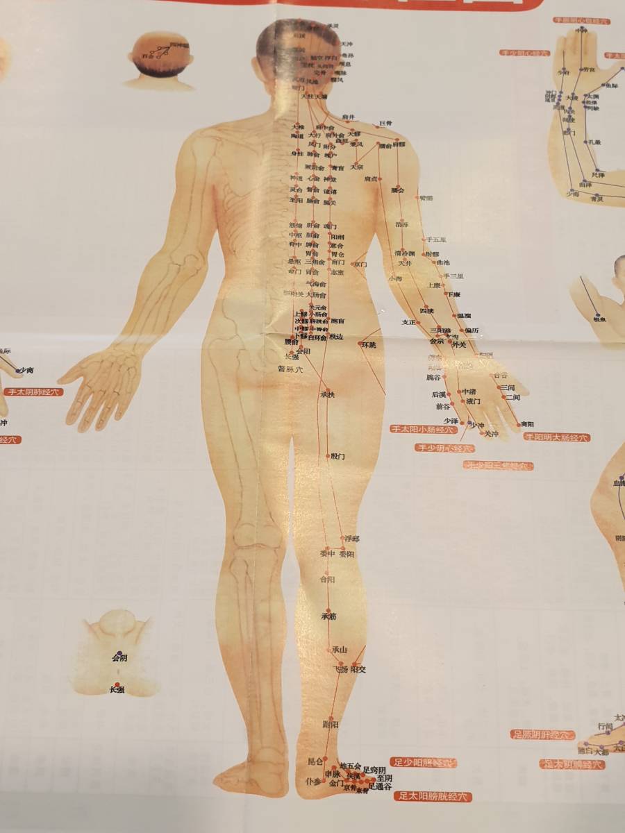 全身経絡図　ツボの位置確認　中国本土版　管理１_画像3