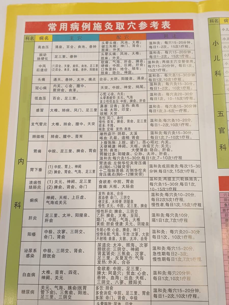 全身経絡図　ツボの位置確認　中国本土版　管理１