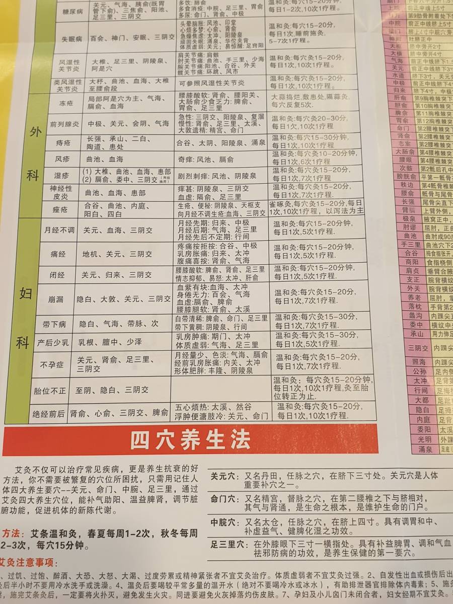 全身経絡図　ツボの位置確認　中国本土版　管理１