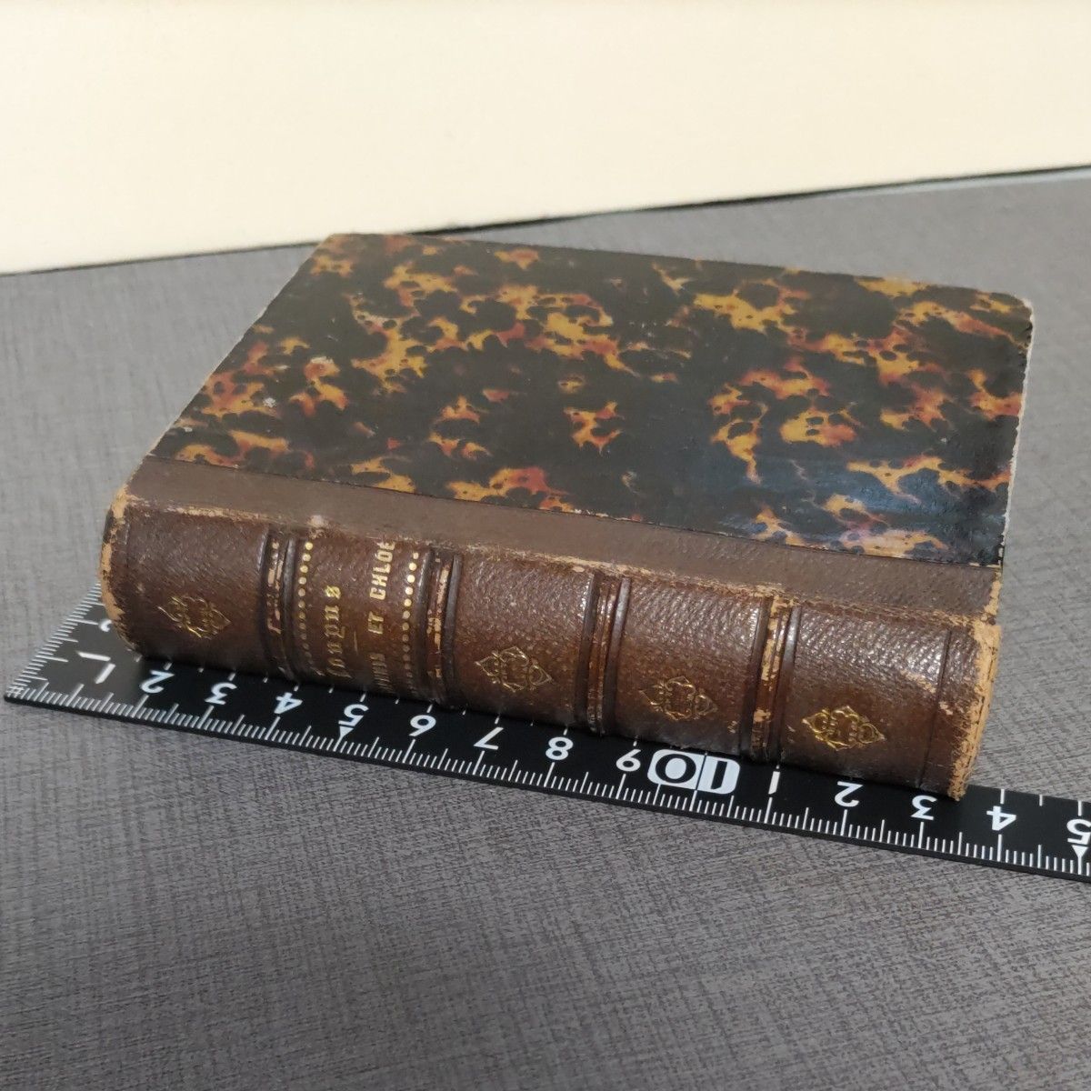 古書③★1825年 クーパス  洋書 古書 ラテン語 スペイン語 ロングスの牧歌 写本 羊皮紙 豆本 アンティーク 革製