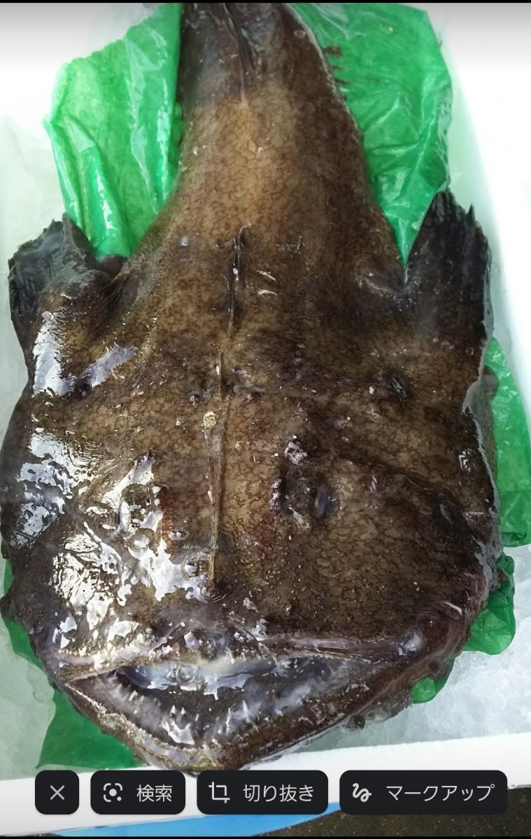  морской черт Hokkaido производство 3.5 kilo..... есть 