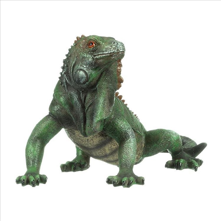  large type iguana exterior ornament objet d'art garden for outdoor figure garden decoration outdoors accent small articles ornament garden sculpture miscellaneous goods reptiles lizard 