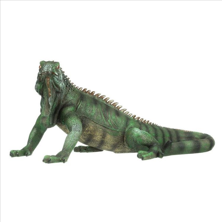  large type iguana exterior ornament objet d'art garden for outdoor figure garden decoration outdoors accent small articles ornament garden sculpture miscellaneous goods reptiles lizard 