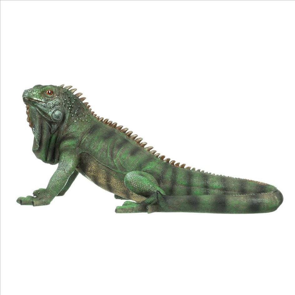  large type iguana exterior ornament objet d'art garden for outdoor figure garden decoration outdoors accent small articles ornament garden sculpture miscellaneous goods reptiles lizard 