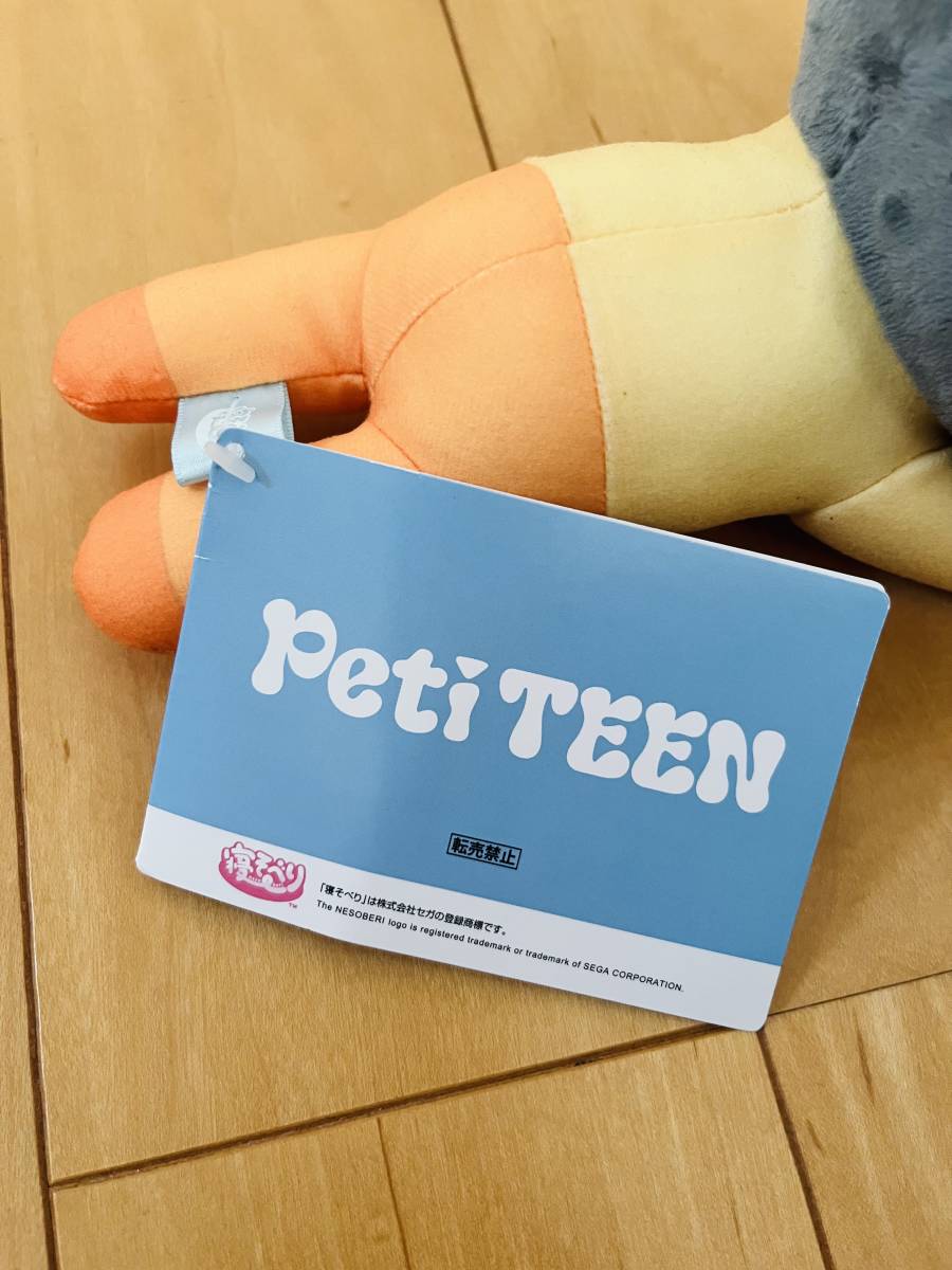 Peti TEEN SEVENTEEN セブンティーン　セブチ　寝そべり　ぬいぐるみ　ウォヌ_画像6